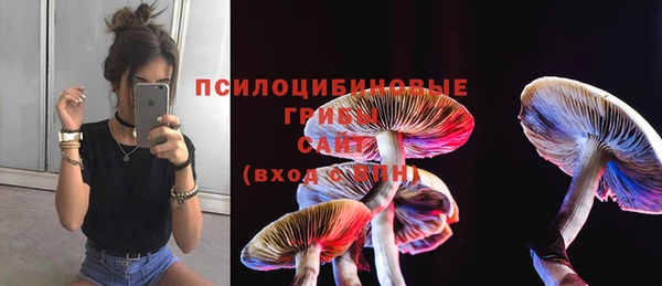 метамфетамин Козловка