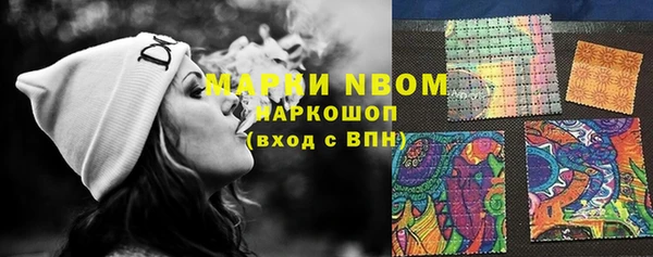 стаф Алексин
