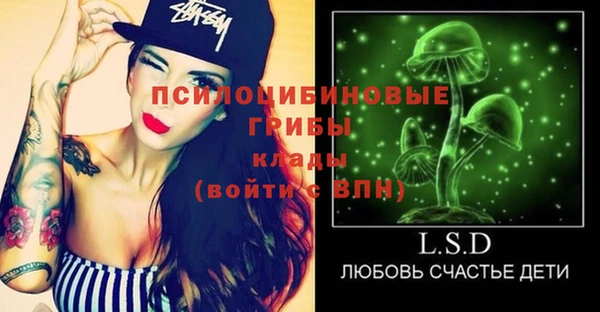 соль ск Алексеевка