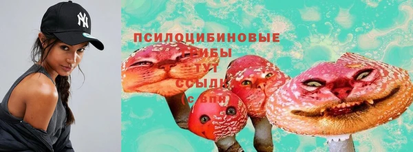 соль ск Алексеевка