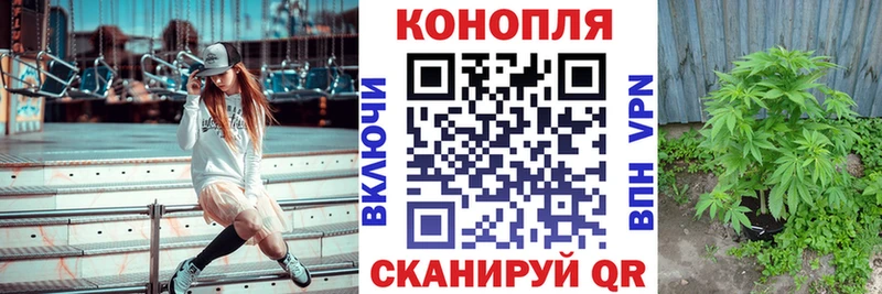 Бошки Шишки планчик  Лермонтов 